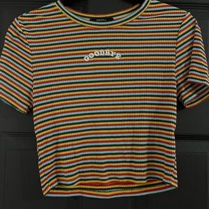 Striped Multicolor Crop Top